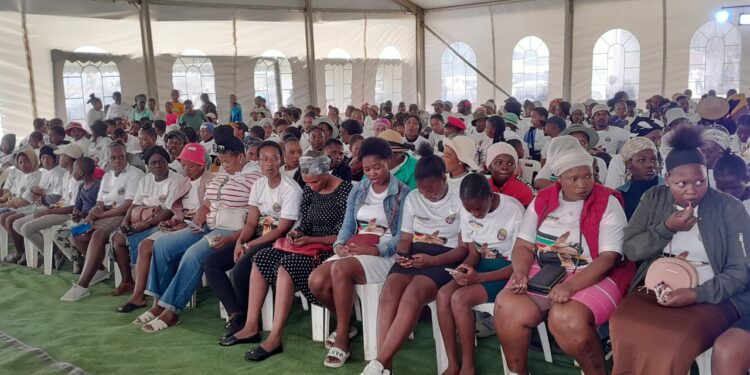 IFP Campaigns in Mpofana Mooi River Ahead of Elections